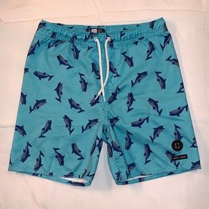 LIRA CLOTHING CRTV / SCTY Volley shorts